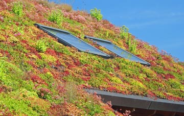 Brundon living roof systems